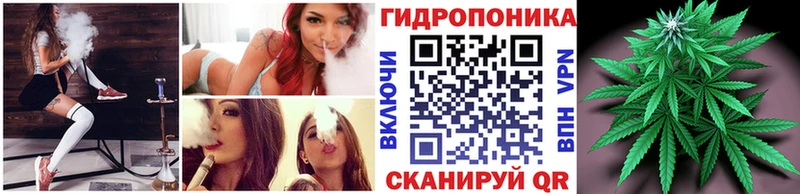 kraken ссылки  Семилуки  Марихуана гибрид 